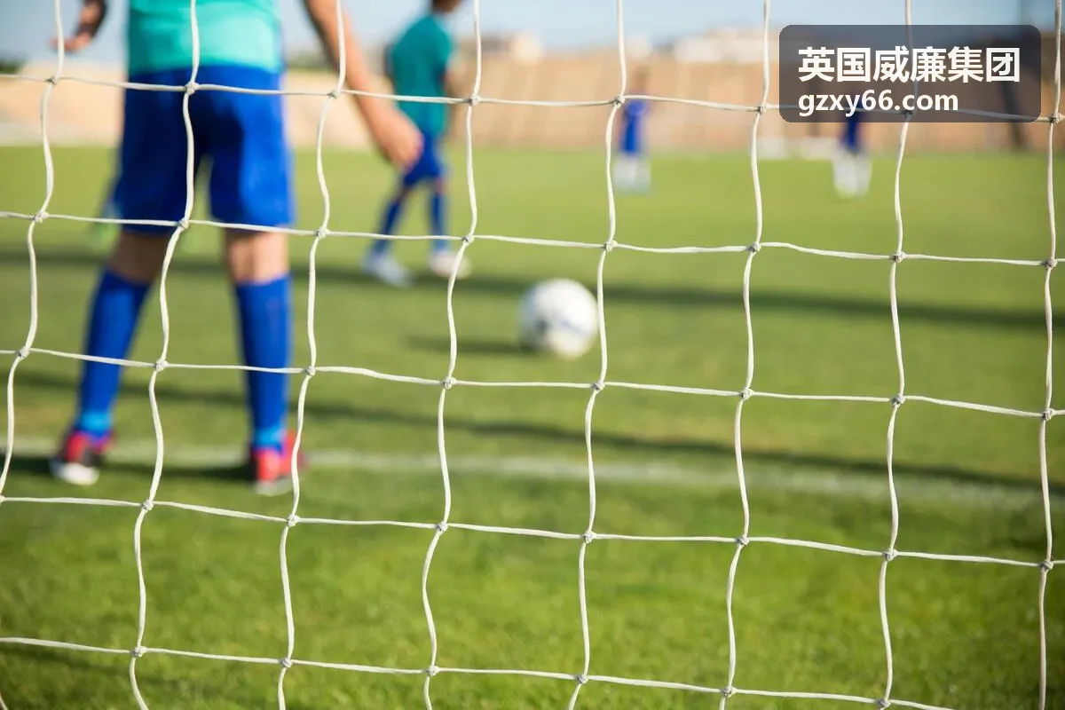 英国威廉集团亚太案例